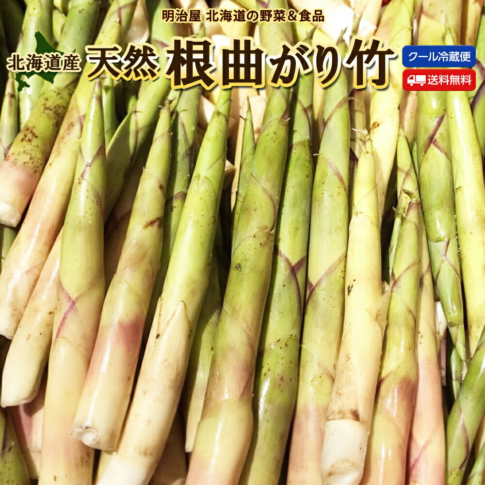 楽天市場】根曲がり竹 皮むきの通販