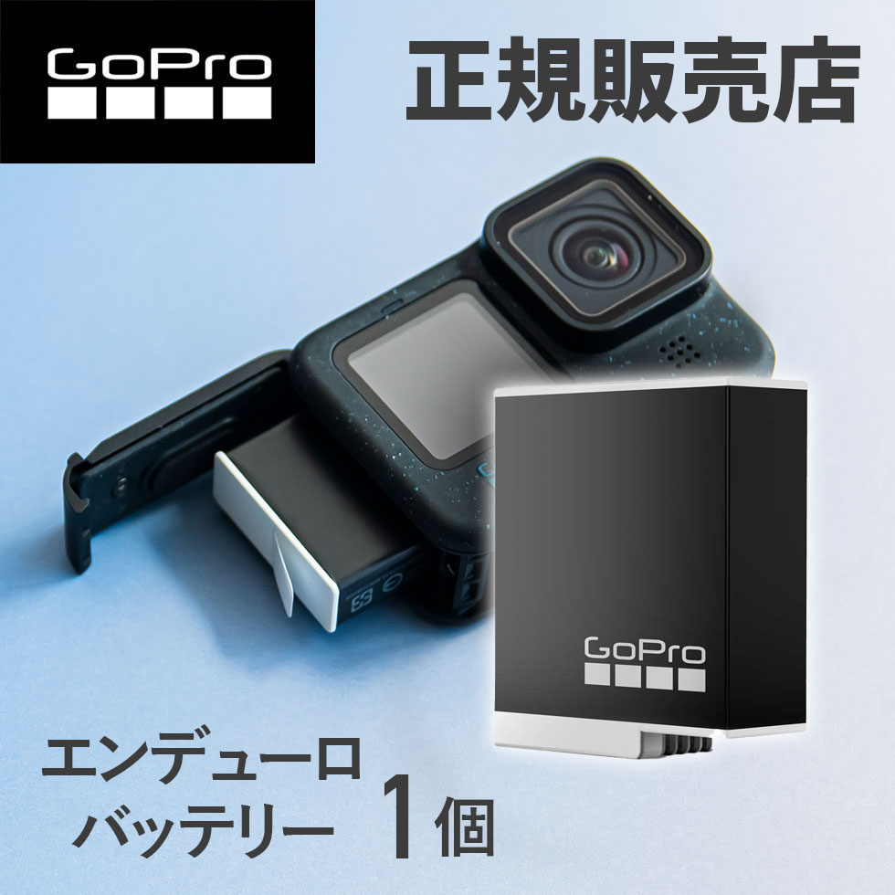 ゴープロ バッテリー 純正」の人気商品一覧 | 安い商品を通販サイト