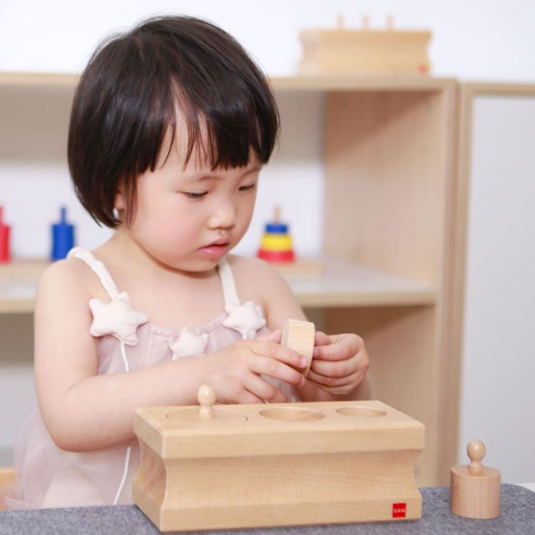楽天市場】モンテッソーリ教育（AMI認定）GAM 乳幼児用 円柱さしNO1