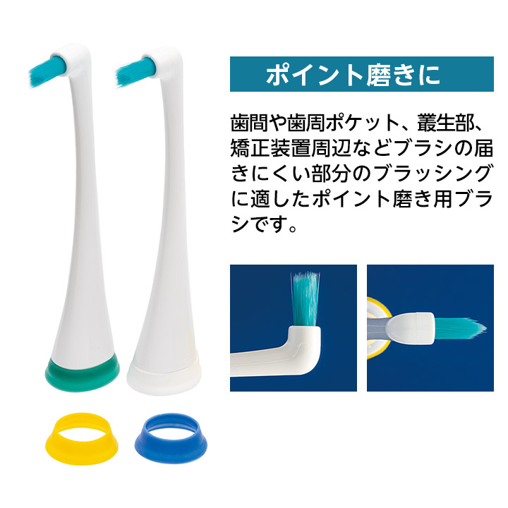 楽天市場】【2/25 24時間限定☆最大1,500円OFFクーポン】ジーシー