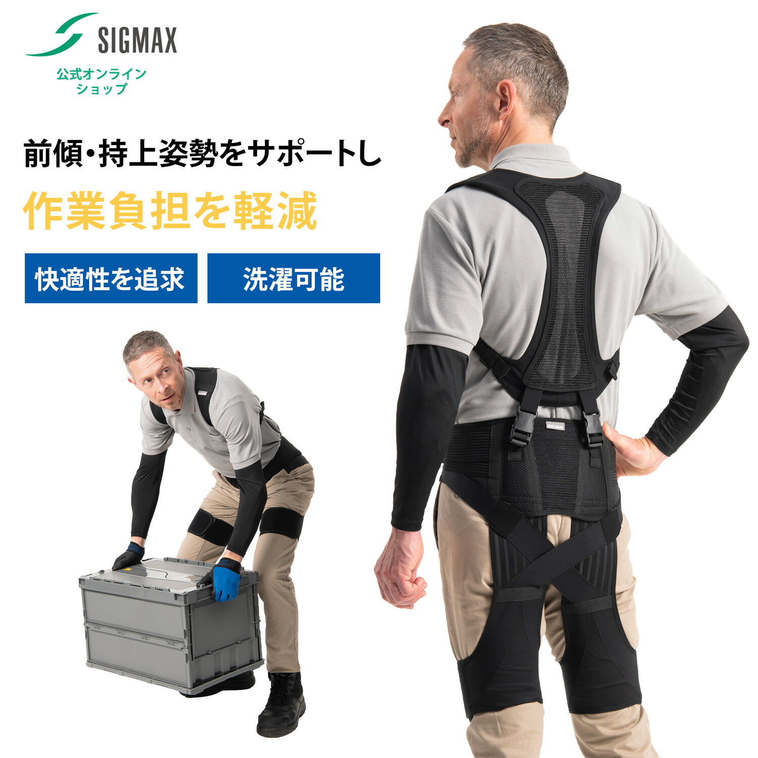 楽天市場】【15%OFF 医療メーカー・日本シグマックス公式】 アシスト