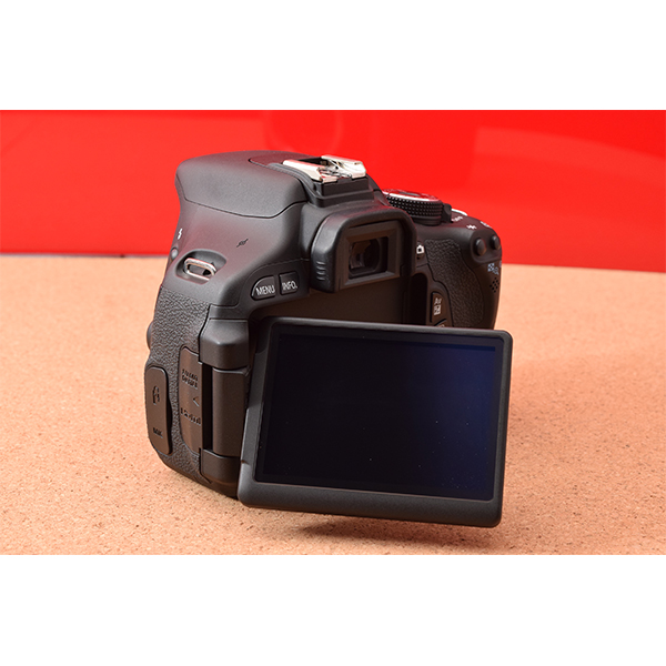 初心者用の一眼レフカメラ専門館TSS / Canon キャノン EOS Kiss X5