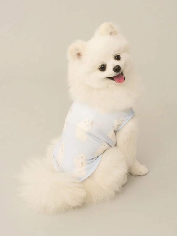 gelato pique（ジェラートピケ）【CAT&DOG】【販路限定商品】【接触冷
