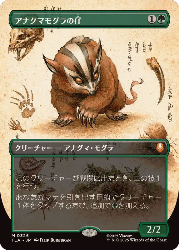 FOIL)(フルアート)アナグマモグラの仔/Badgermole Cub《日本語》【TLA】