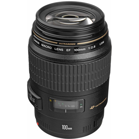 Canon EF 100mm f/2.8 Macro USM Lens - Adorama