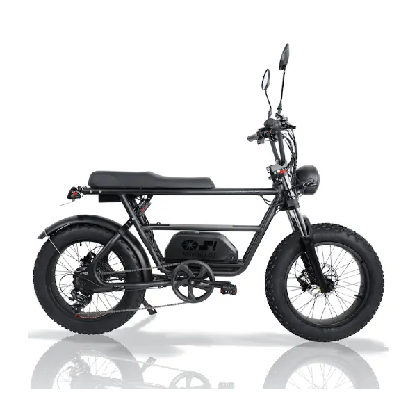 HOUPET 原動機付自転車 電動アシスト自転車 500W 大阪 京都 HOUPET電動
