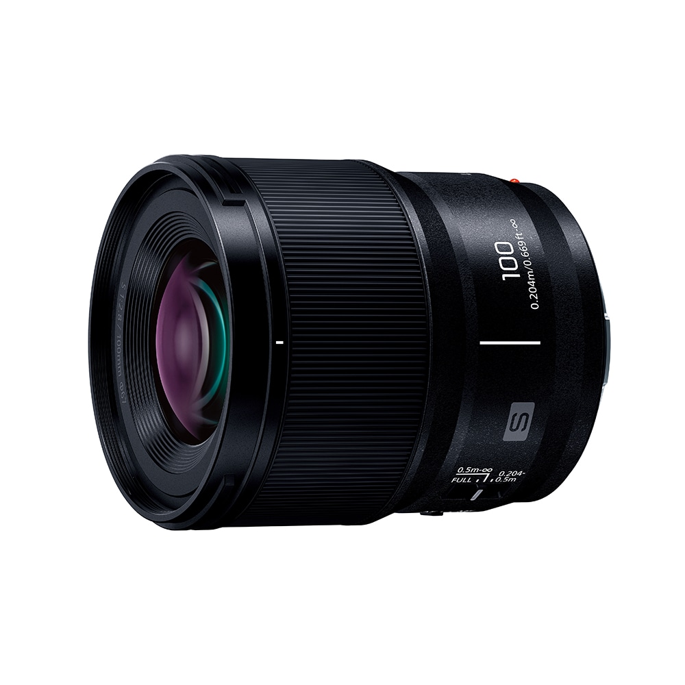 Panasonic(パナソニック) LUMIX S 100mm F2.8 MACRO S-E100: レンズ 銀