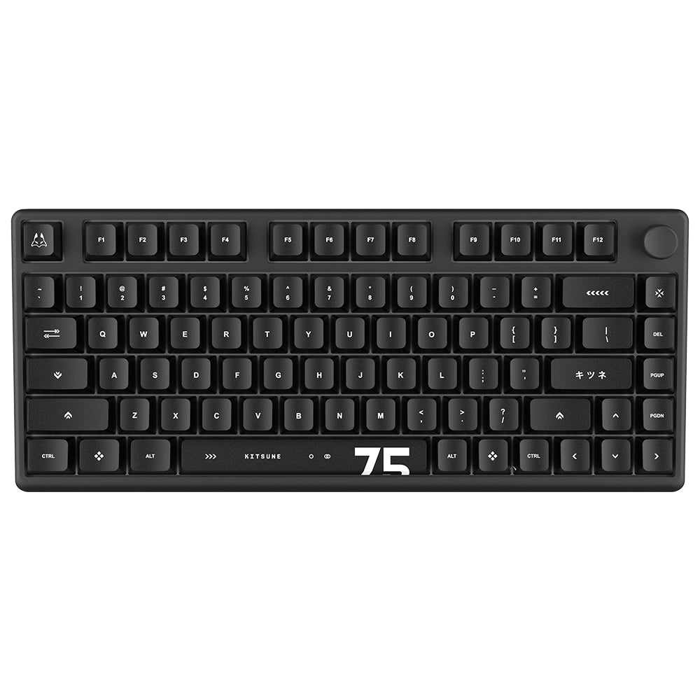 Arbiter Studio (アービタースタジオ) TENKO Polar 75 + 磁気
