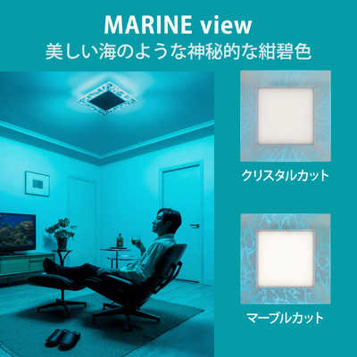ホタルクス LED照明 シーリングライト 8畳 昼白色 導光板 HotaluX VIEW