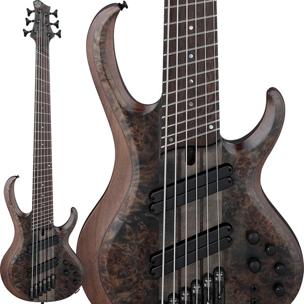 Ibanez Bass Workshop BTB806MS-TGF [SPOT MODEL] ｜イケベ楽器店