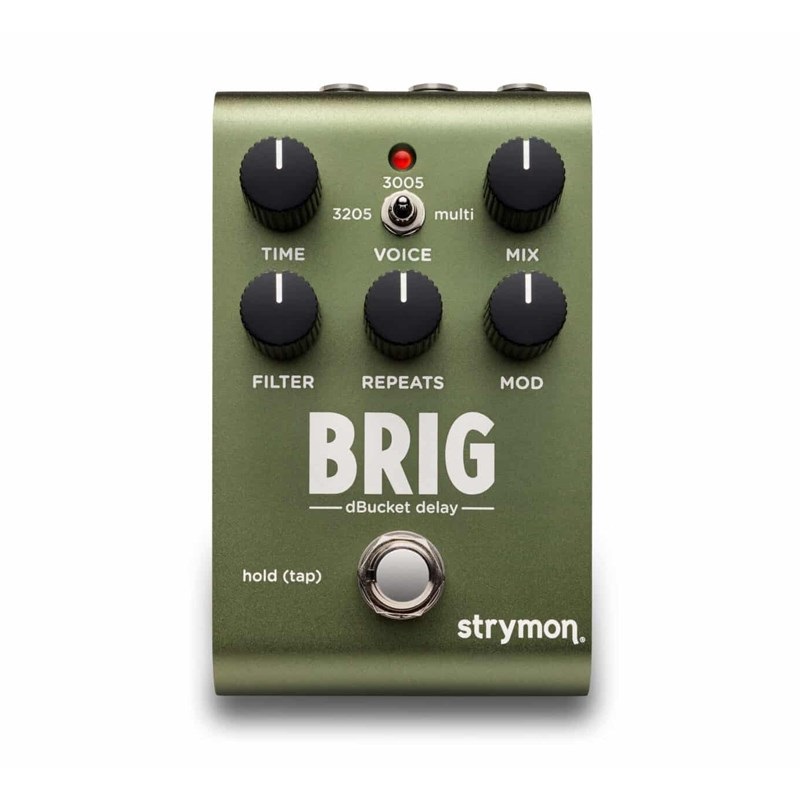 strymon 【WEB限定在庫処分セール】 BRIG [dBucket Delay]（ストライ