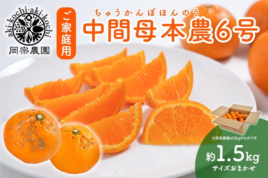 ご家庭用】岡宗農園 中間母本農6号 約1.5kg 2月9日頃より順次発送: と