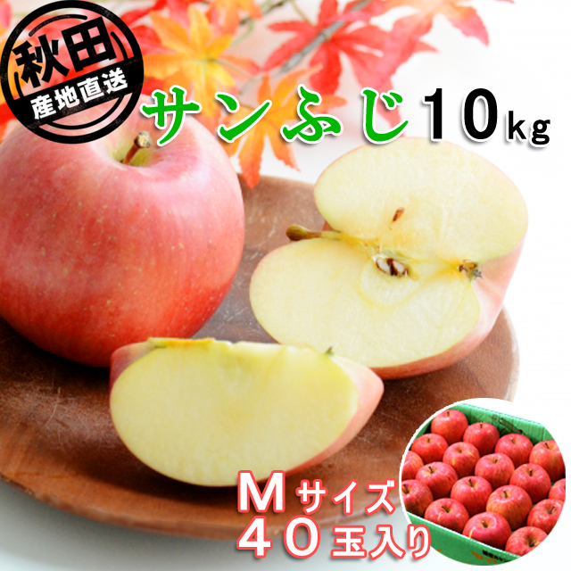 秋田産りんご サンふじ10kg Mサイズ40玉