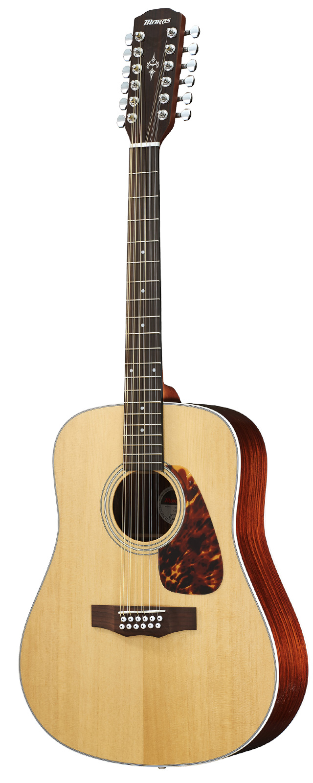 MB-501 | 生産完了品 | MORRIS GUITARS モーリスギター