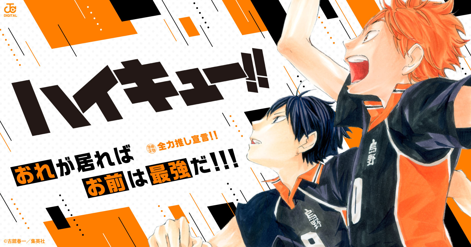 ハイキュー！！ 45 冊セット 全巻 | 漫画全巻ドットコム