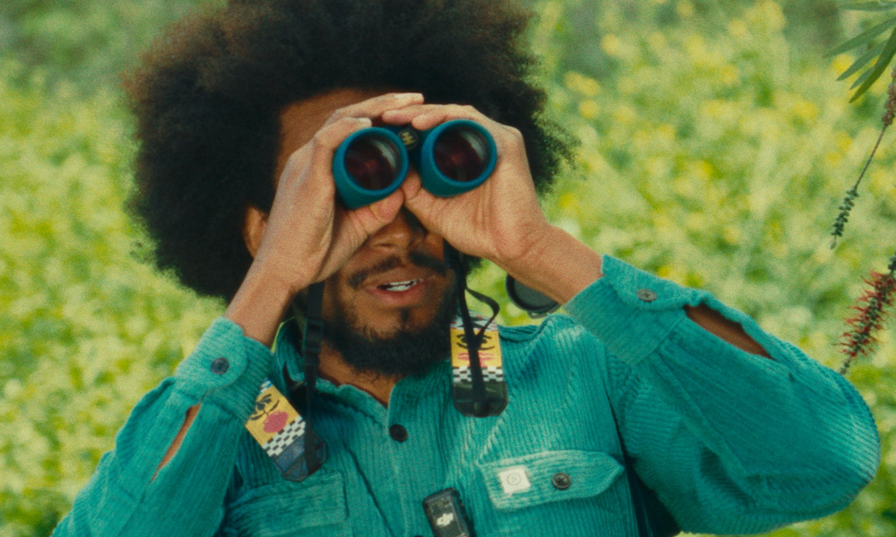 CANOPY (GREEN) | Pro Issue 8x42 Waterproof Binoculars | Nocs