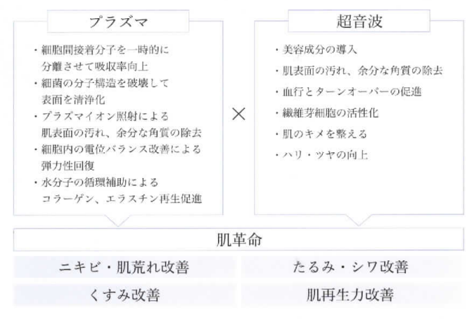 プラズマソニック＜プラズマシャワー＋超音波＞