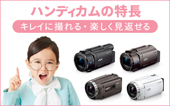 デジタルビデオカメラ ハンディカム | ソニー