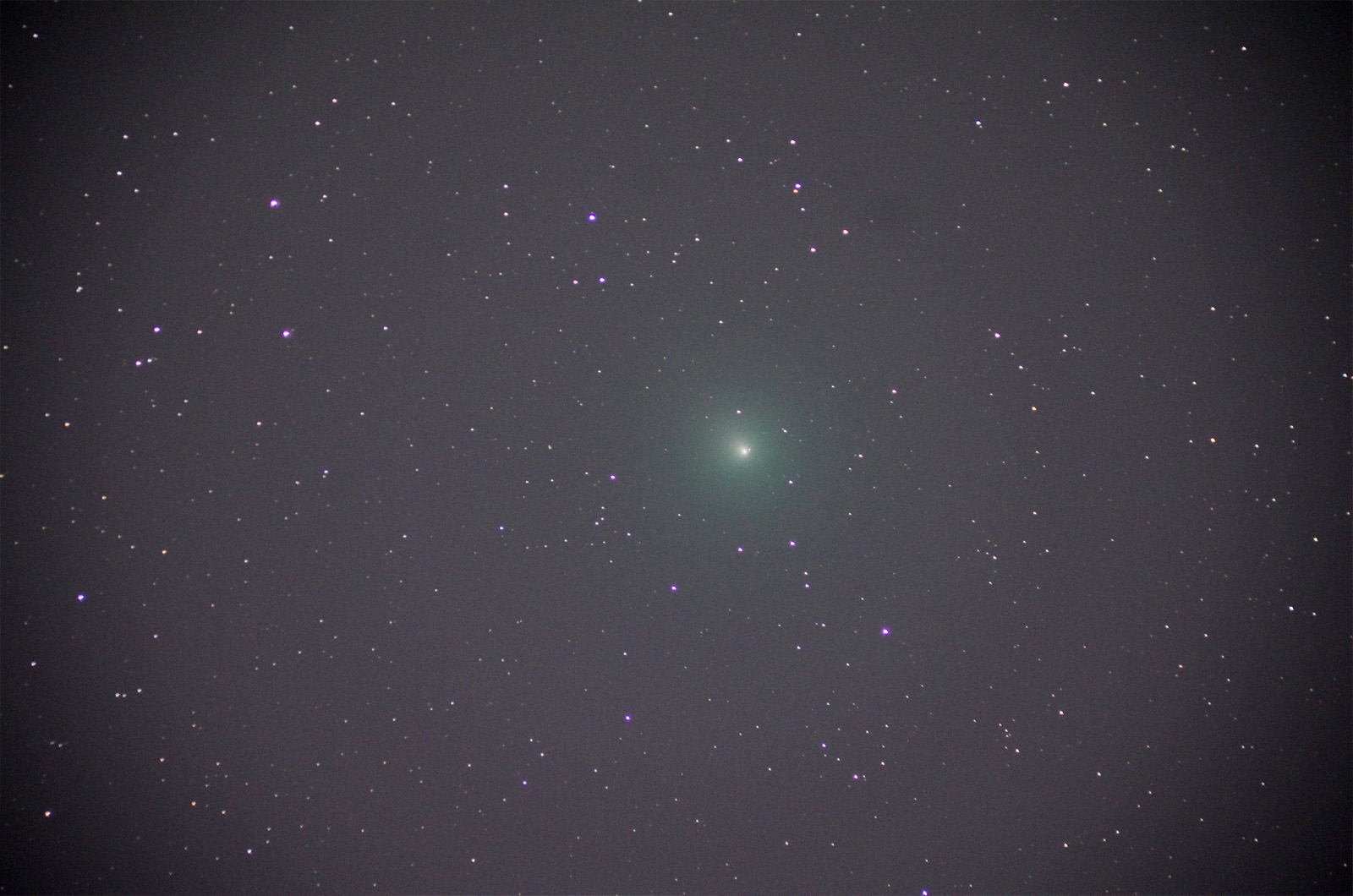 46P181210_430mm.jpg