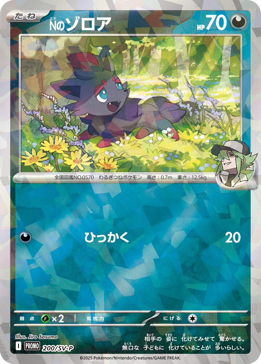 Nのゾロア | ポケモンカードゲーム公式ホームページ