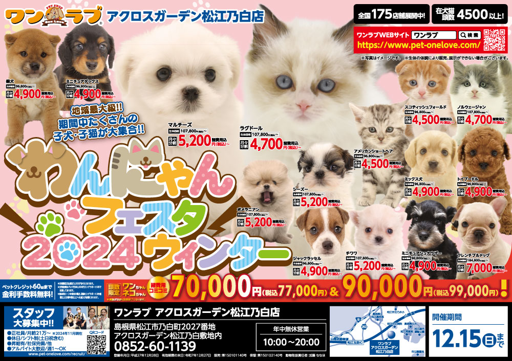 わんにゃんフェスタ2024ウィンター 開催!!】島根県 ワンラブ アクロス
