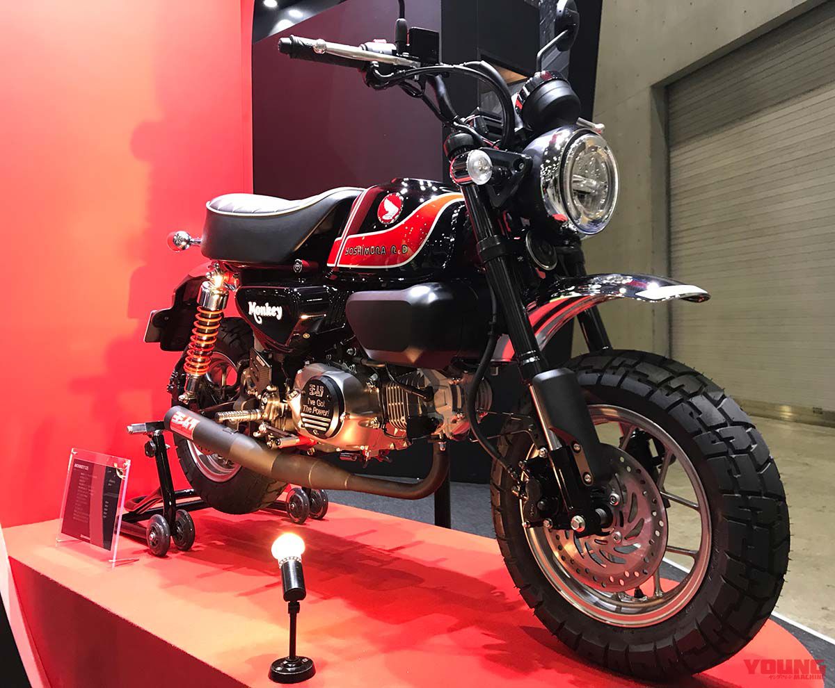 タミヤ 1/12 ホンダ モンキー125 新発売【プラモデルでもカスタムする
