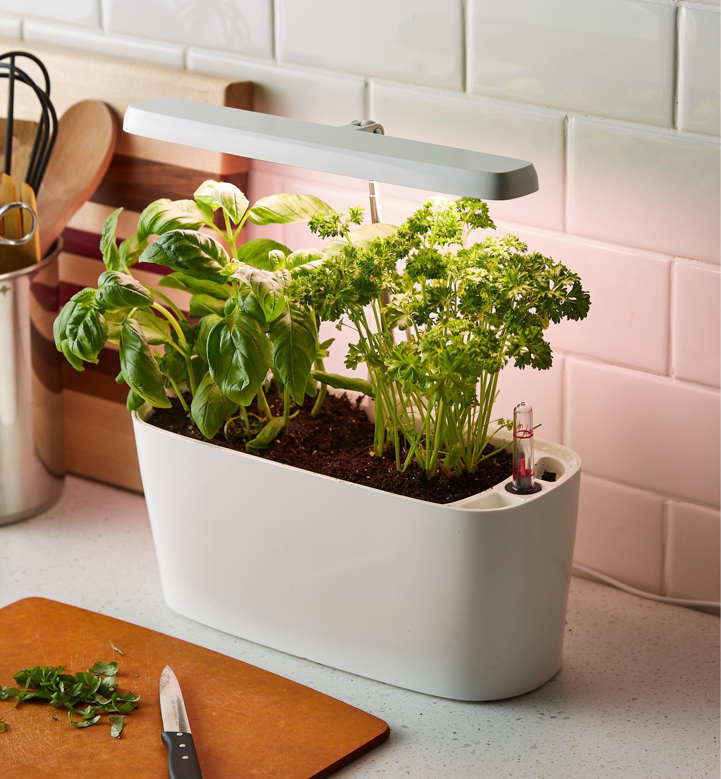Grow Light & Self-Watering Planter Set - Lee Valley Tools