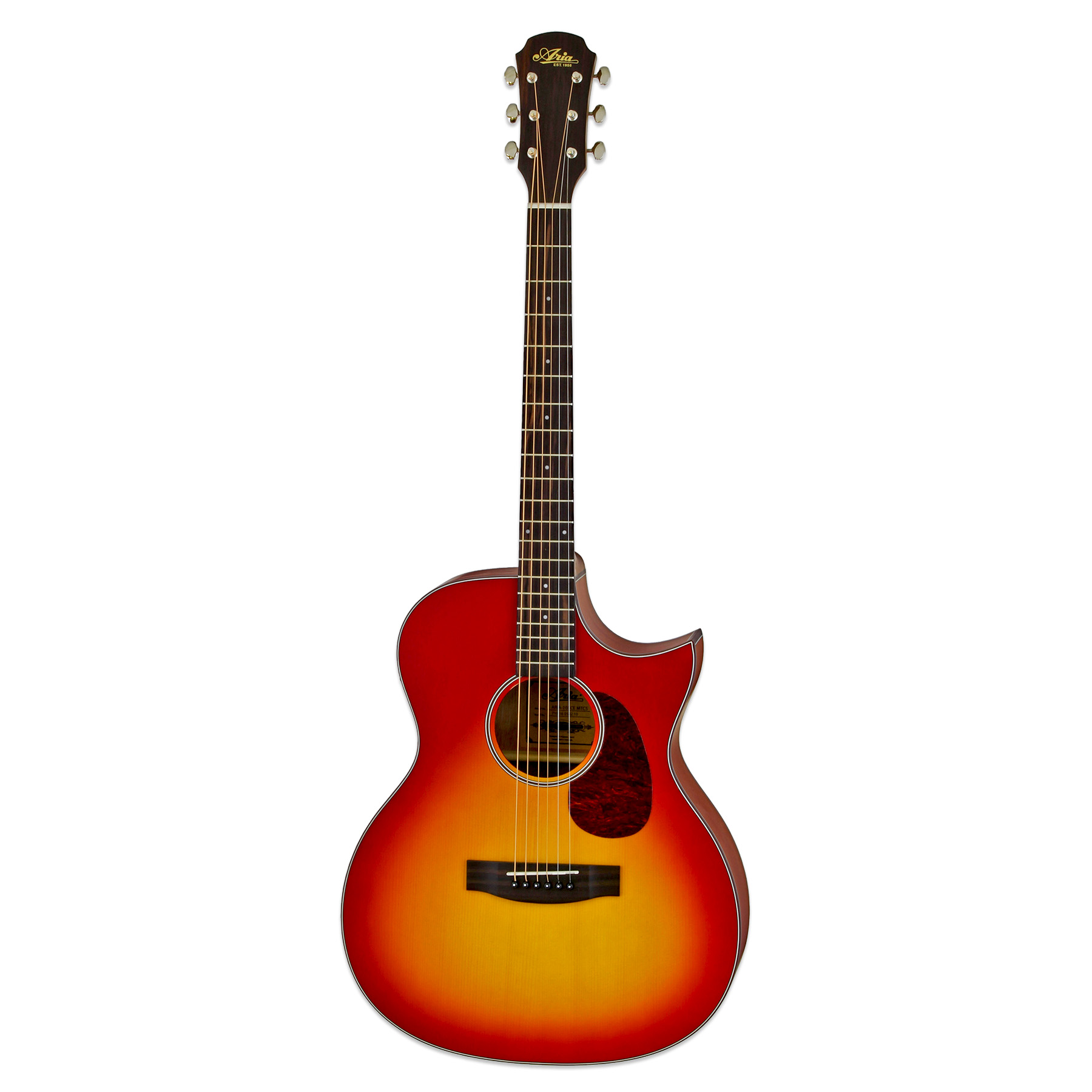 ARIA-101CE - Aria Guitars - Electric, Acoustic, Classical Guitars