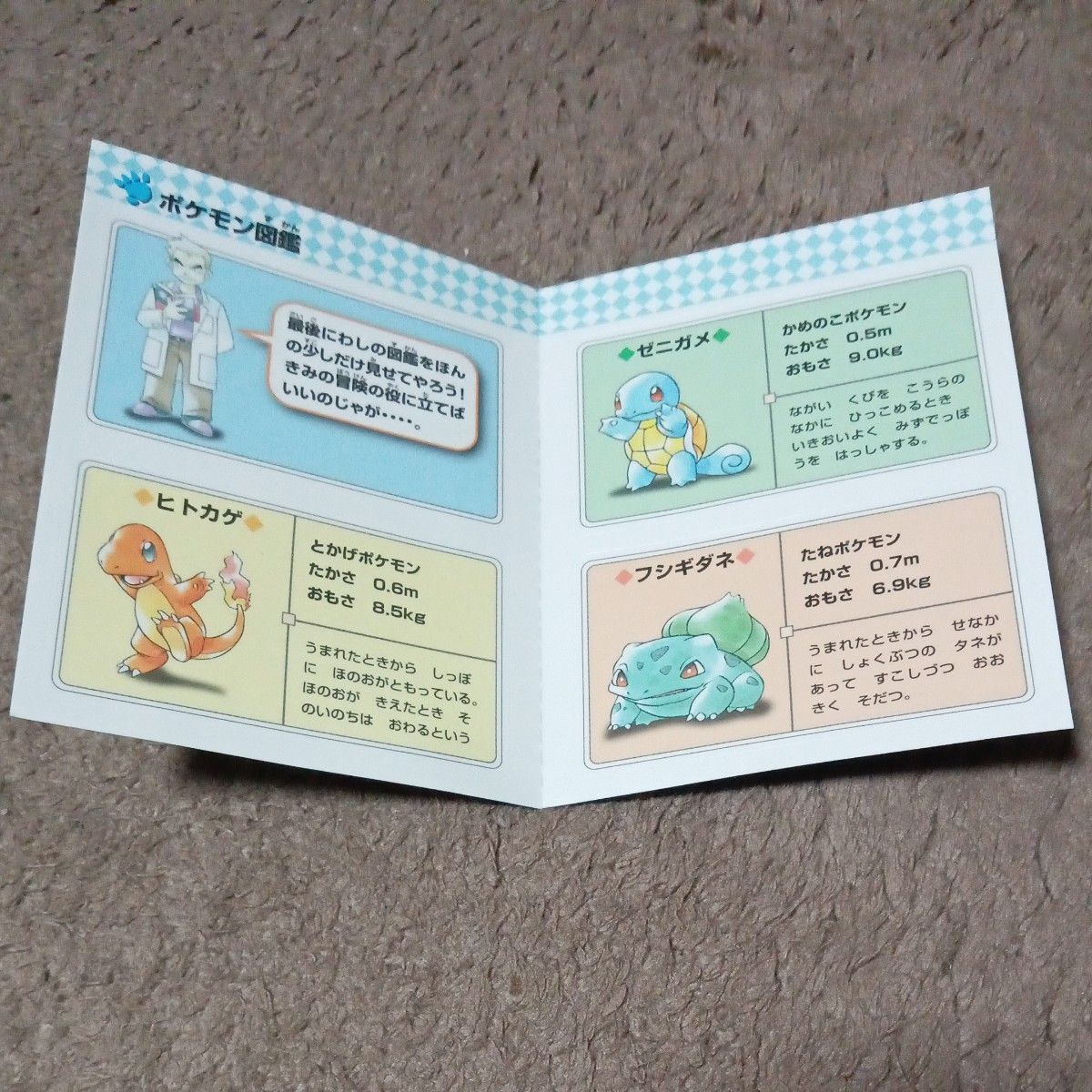 ポケットモンスター青POKEMON専用ダウンロードカード特別版任天堂3DS