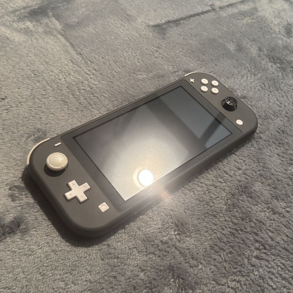 Nintendo Switch Lite グレー 本体 美品 動作確認済み スイッチライト