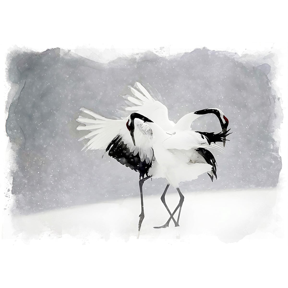 絵画 動物 鳥 タンチョウヅル インテリアアート額付き 水彩画・油絵風