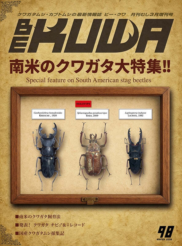 BE KUWAビークワ 25冊、昆虫フィールド2冊セット 2625196_n.jpg