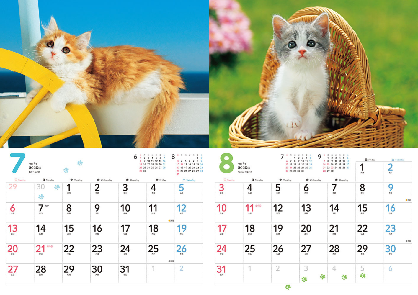 もふもふこねこ - インプレスブックス