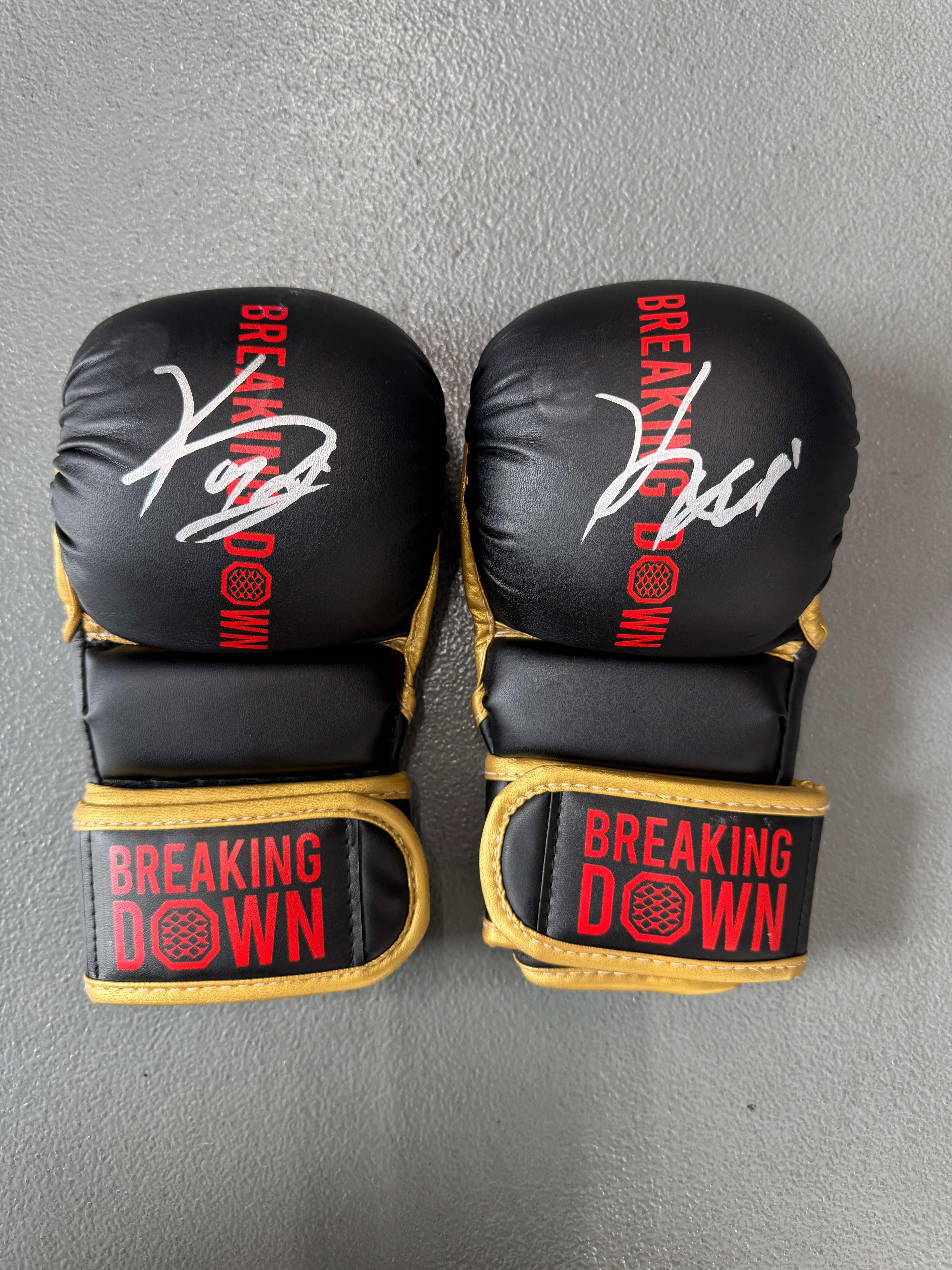 BreakingDown17 池田晃樹選手サイン入りグローブ – BreakingDown