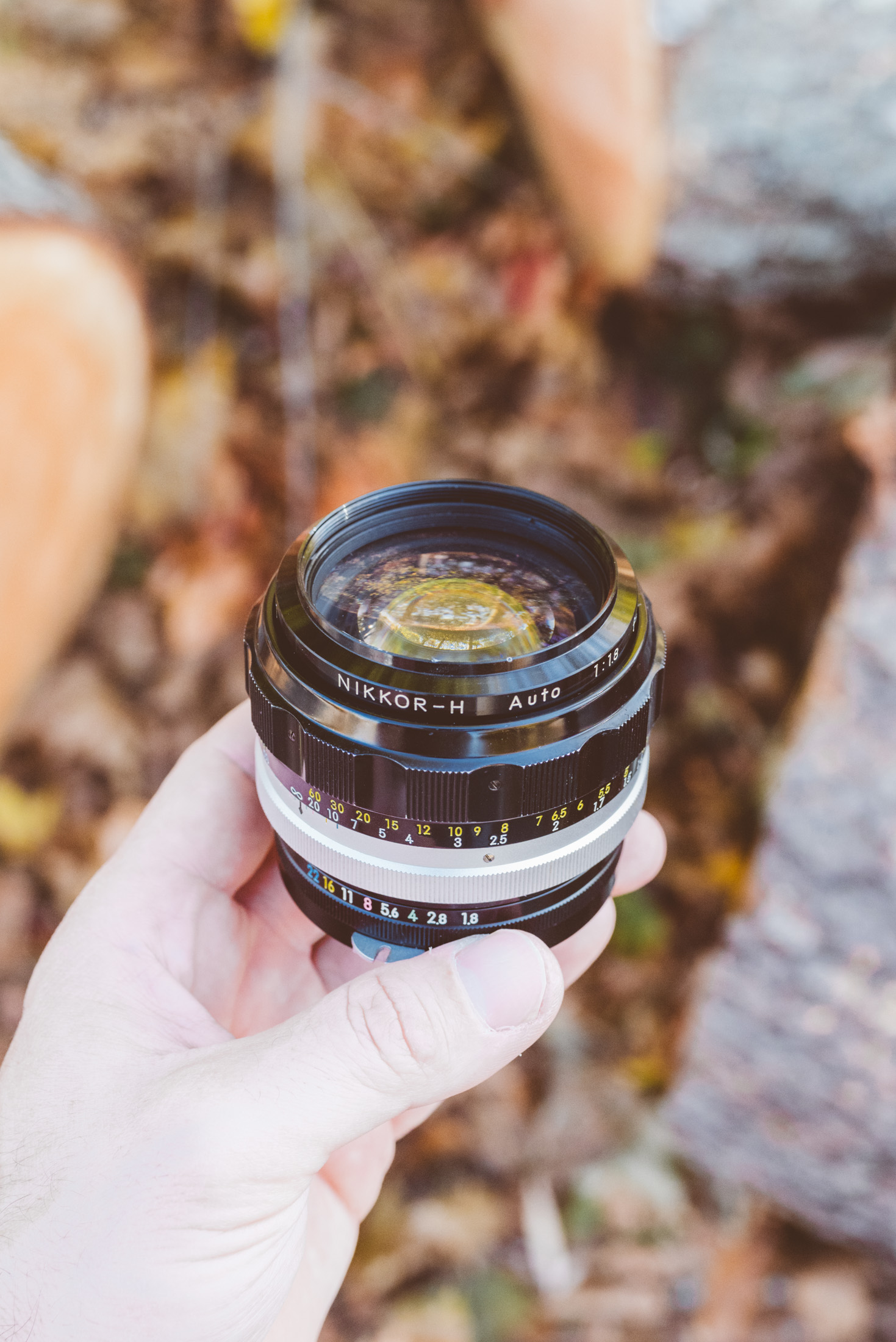 Nikon Nikkor H Auto 85mm f/1.8 (1964-1977) Lens Review - Casual