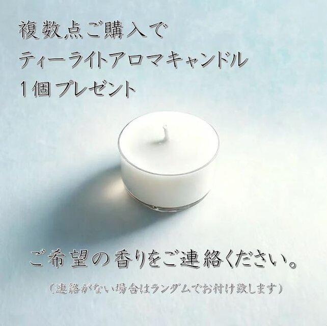 スタンダードアロマキャンドル】シトラスウッド【ソイキャンドル