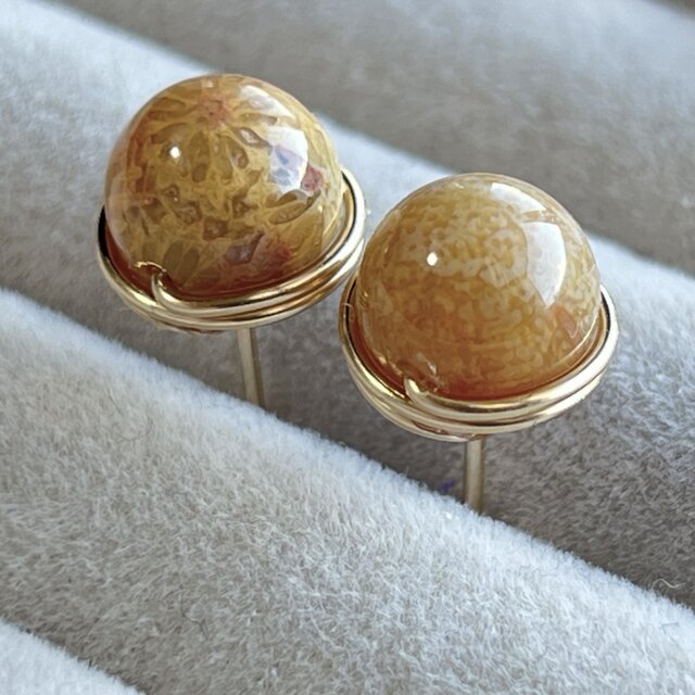 フォッシルコーラル 1粒ピアス 14kgf | iichi 日々の暮らしを心地よく