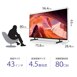 ソニー BRAVIA 43型 4K液晶テレビ (設置含む) X80Lシリーズ KJ-43X80L
