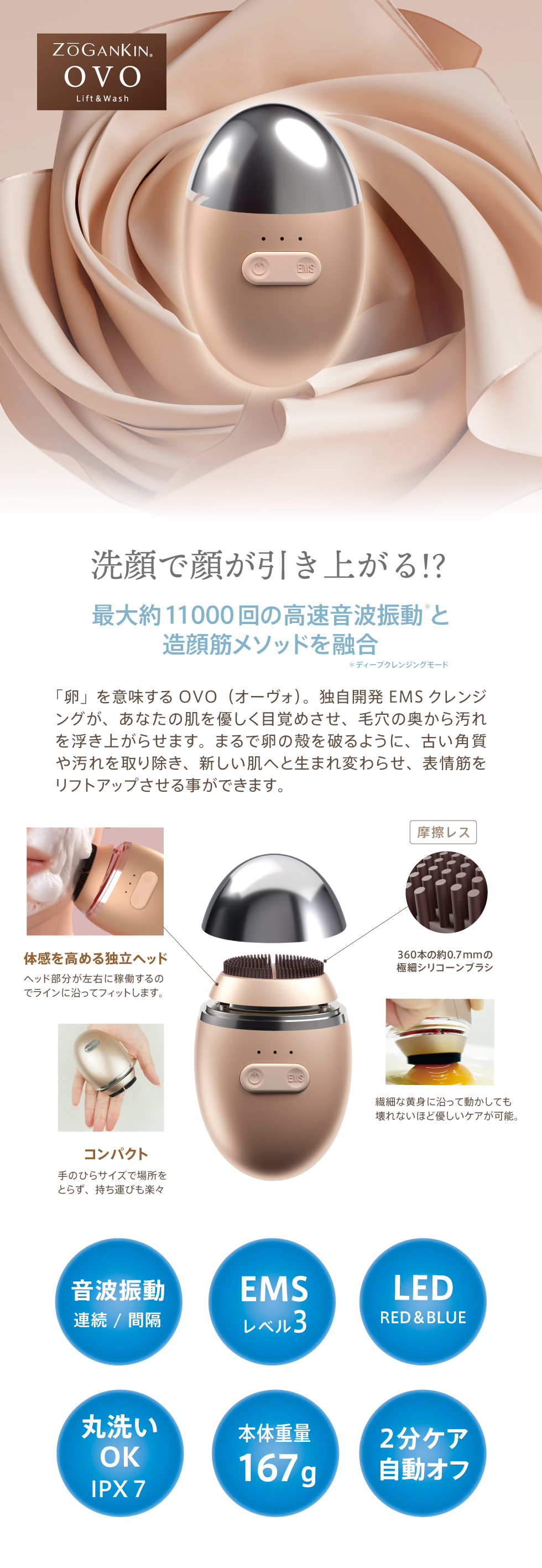 ゾーガンキンオーヴォ【 ZOGANKIN OVO 】｜ クルールラボ株式会社