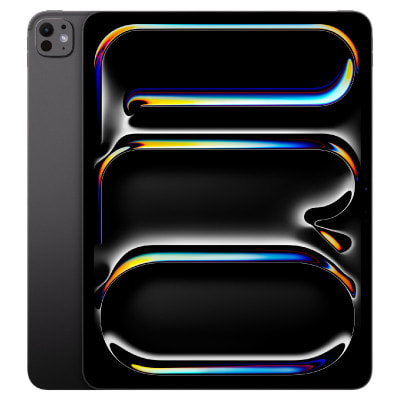 第1世代】iPad Pro 13インチ Wi-Fi 256GB スペースブラック MVX23J/A
