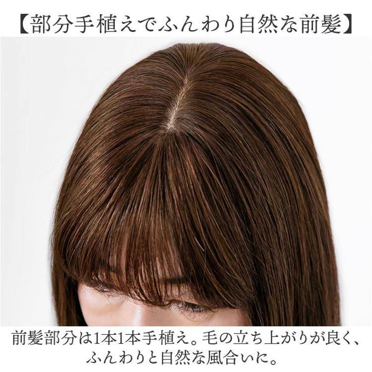 プリシラ 部分 ウィッグ prisila ST-102 通販 かつら 女性 レディース