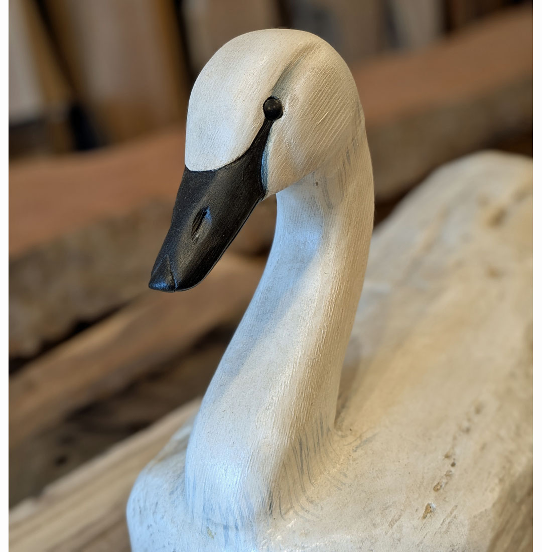 Driftwood Swan, 17 x 13 x 10 - Forest Gems Gallery