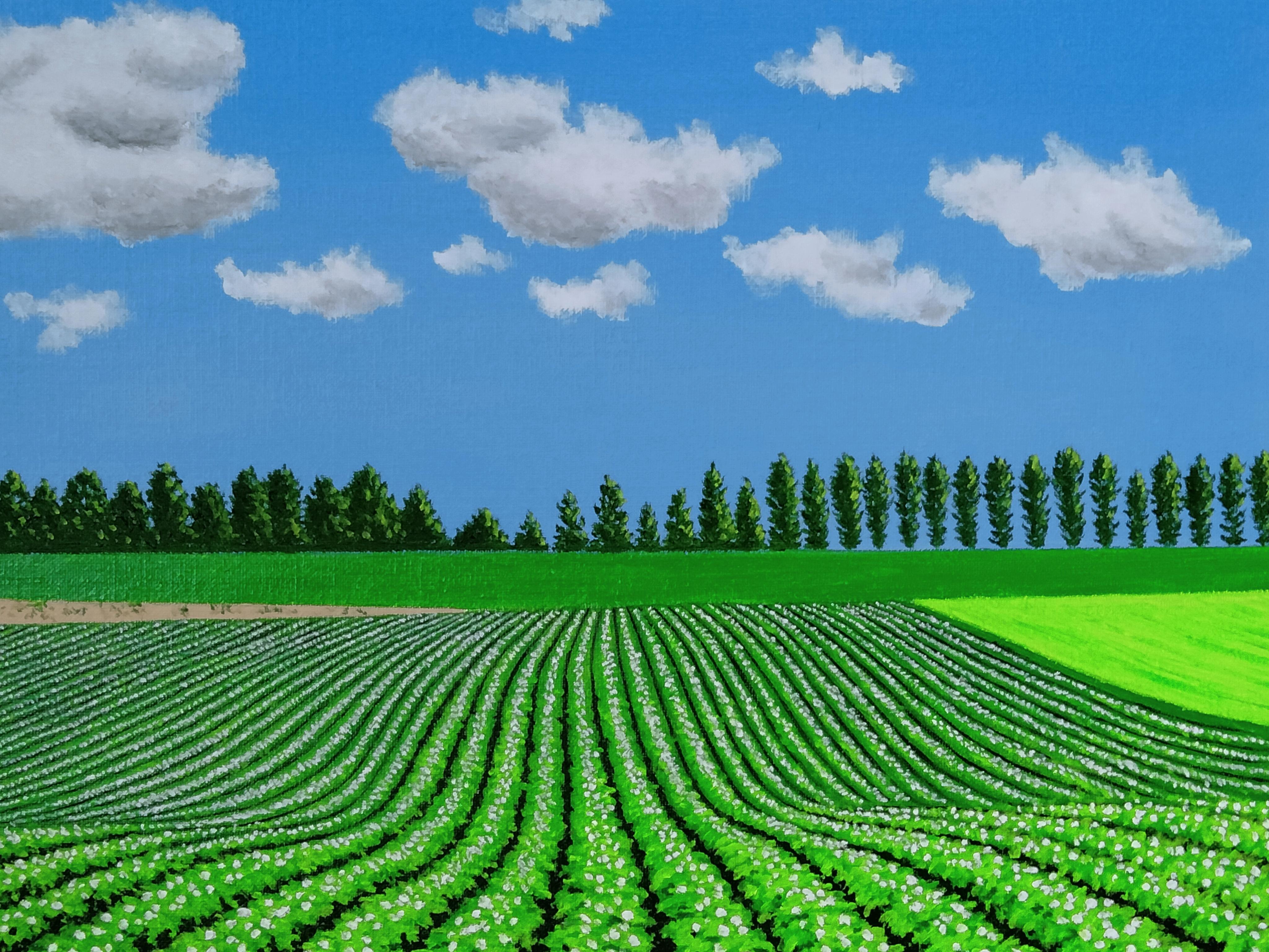 絵画の通販、購入ならFROM ARTIST/作品名：美瑛のいも畑/作家名：谷村一男
