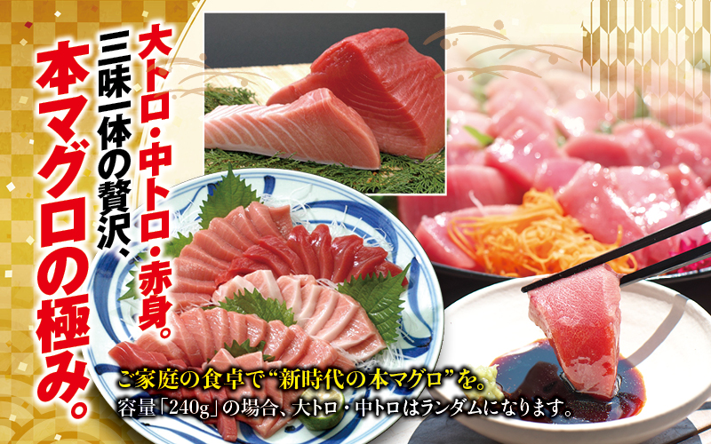 本まぐろ トロ＆赤身セット 500g（養殖）【通常発送】＜日付指定OK