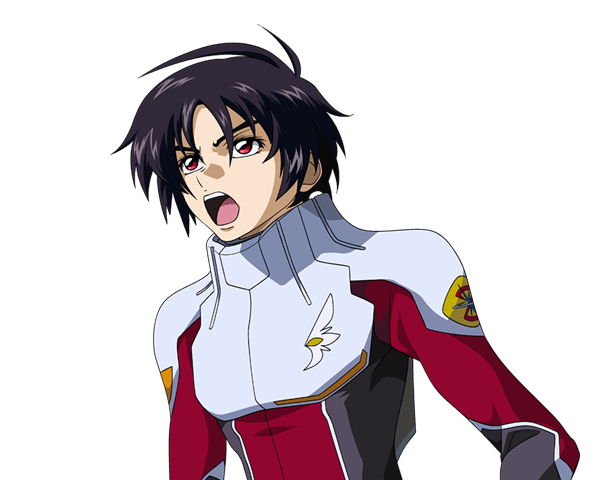 機動戦士ガンダムSEED DESTINY | CHARACTER | SDガンダム ジー