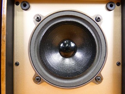 Bose 125 Westborough Compact Bookshelf Speakers – Vintage Hi-Fi