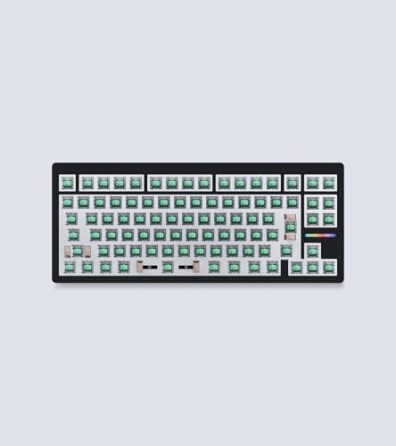 Wooting 80HE Module Linear60 v2 Japanese layout JIS Rapid Trigger