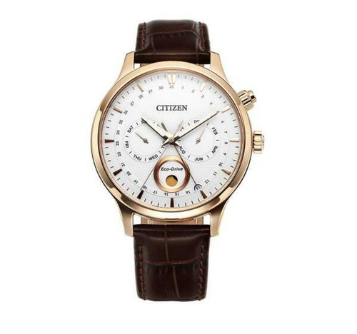 CITIZEN Watch Leather/SLV/B690-S117526 Eco Drive | eBay