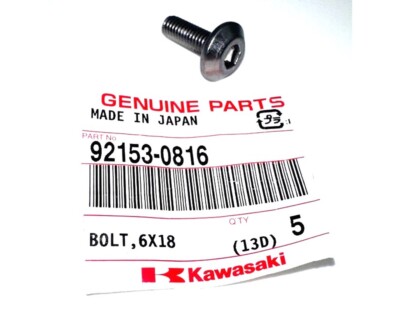 Kawasaki OEM Factory Bolt 6x18 Socket Head Multi Fit 92153-0816 | eBay