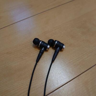 JVC KENWOOD HA-FX1100 Wood Series In-Ear Canal Stereo Mini